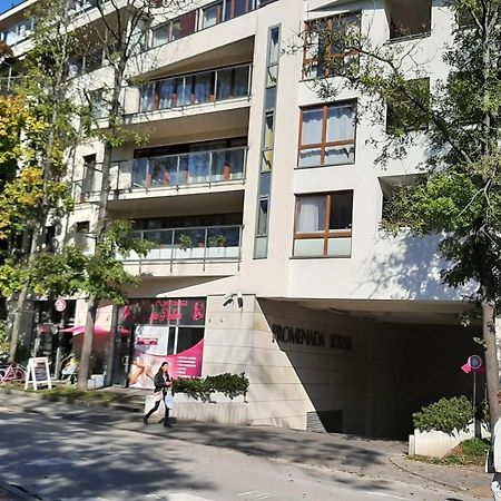 凯尔采Apartament Luxon 4公寓 外观 照片